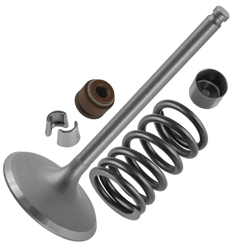 Intake Valve Kit for Suzuki Quadsport Z400 LTZ400 LTZ400Z 2x4 2003-2009