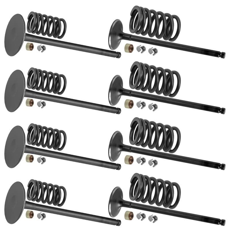 Caltric 12005-0047 12004-0717 49078-0014 Exhaust & Intake Valve Kit For Kawasaki