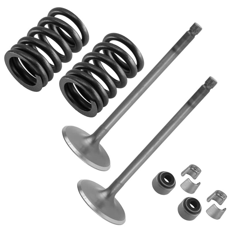 2x Intake Valve Kit for Yamaha Viking 700 YXM700 4x4 2014 2015 2016 2017-2022