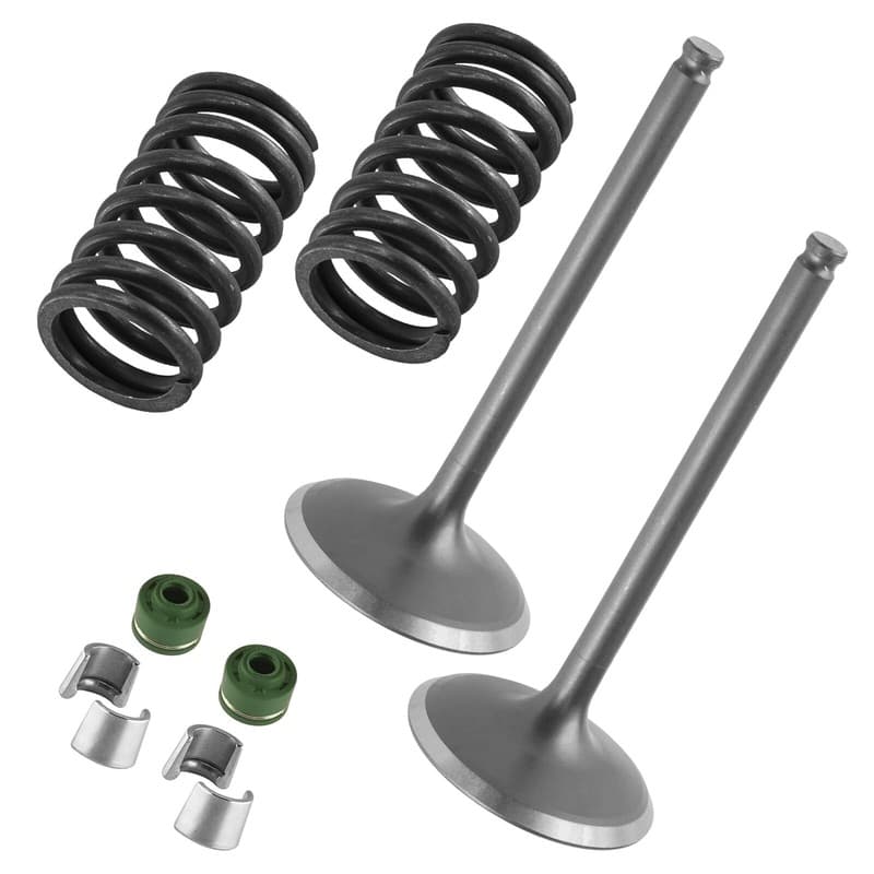 2x Intake Valve Kit for Yamaha YZ450F 2014 2015 2016 2017 / 1SL-12111-00-00