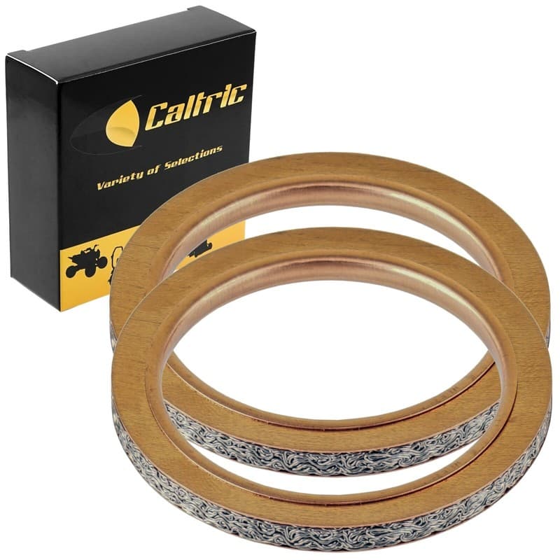 Exhaust Muffler Pipe Gasket for Yamaha 3Yf-14613-01-00, 5Y1-14613-00-00