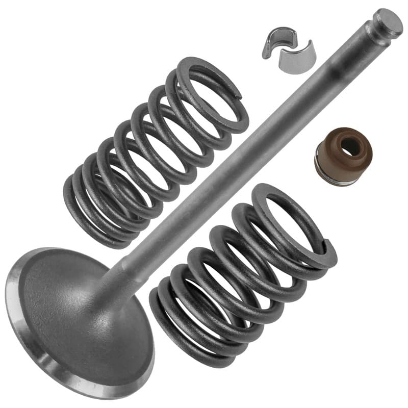 Intake Valve Kit for Honda Big Red ATC250ES SX 1985-1987 4711-HA0-003