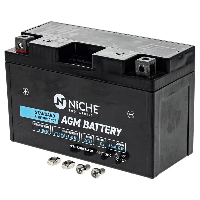 NICHE AGM Battery YT7B for Suzuki DRZ400 Yamaha TTR250 Ducati 1199 Panigale