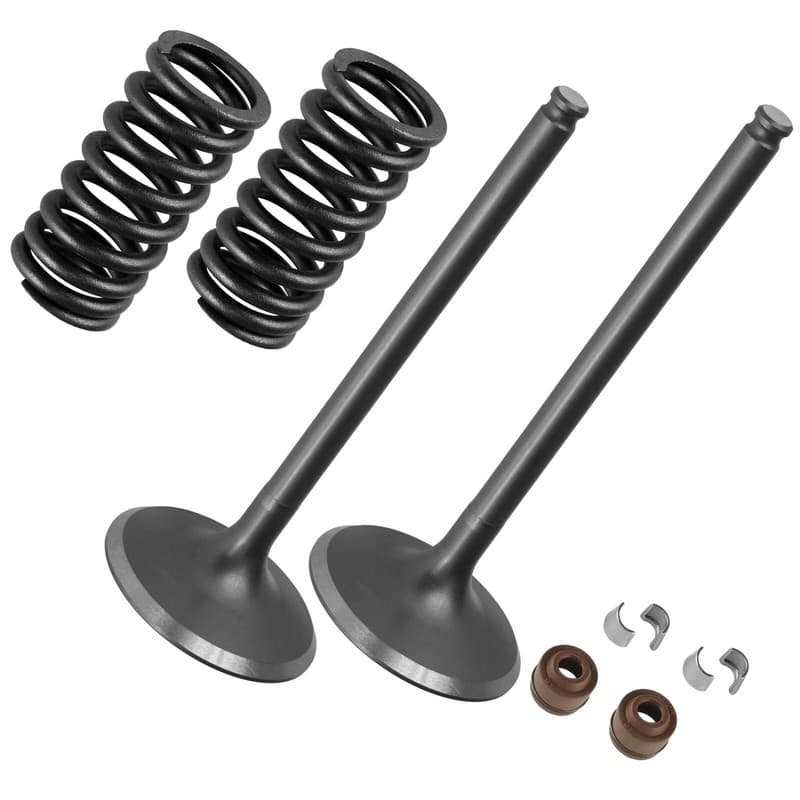 2x Intake Valve Kit for Honda CRF250X 2004 2005 2006 2007-2009 2012 2015-2017