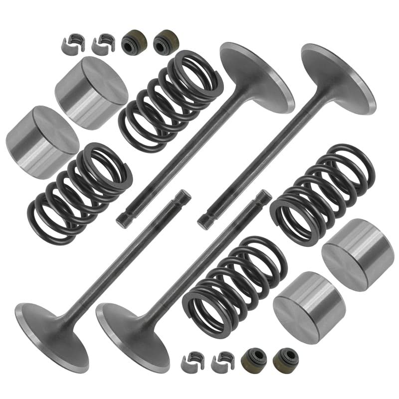 Caltric 2MB-E2121-00-00 2MB-E2111-00-00 Exhaust & Intake Valve Kit For Yamaha