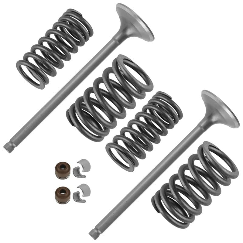 2x Exhaust Valve Kit for Honda Sportrax 400 TRX400EX 2x4 1999 2000 2001-2008