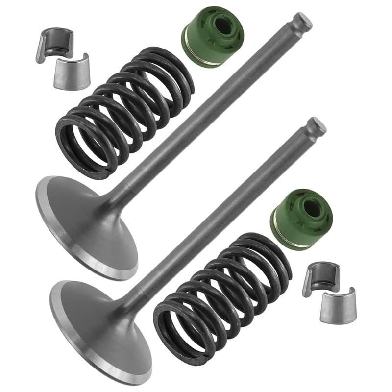 2x Intake Valve Kit for Yamaha YZ450F 2010 2011 2012 2013 / 33D-12111-00-00