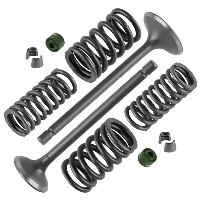 Cylinder Head Intake Exhaust Valve Kit for Honda ATC185 ATC185S 1980-1983