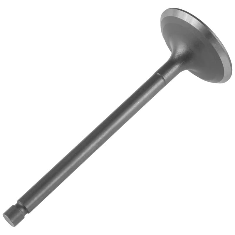 Intake Valve for Yamaha Tri-Moto 225 YTM225DR YTM225DX 1983-1986