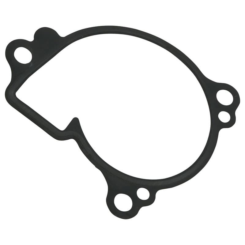 Caltric Water Pump Gasket for Yamaha Grizzly 550 YFM 550 FI EPS 4WD 2009-2014