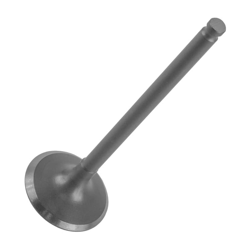 Engine Exhaust Valve Fits Yamaha 5NL-12121-10-00