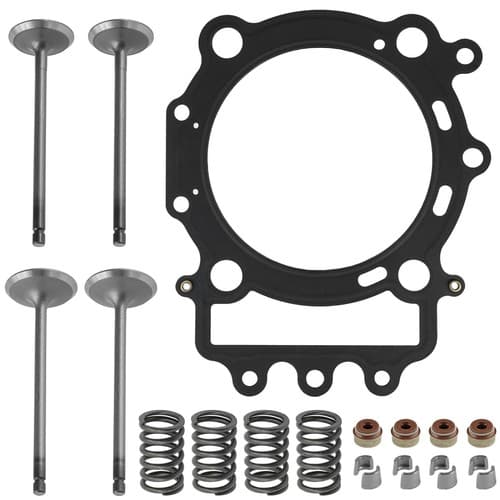 Cylinder Head Intake Exhaust Valve Kit for Arctic Cat Prowler Xtx 700 4X4 H1 08