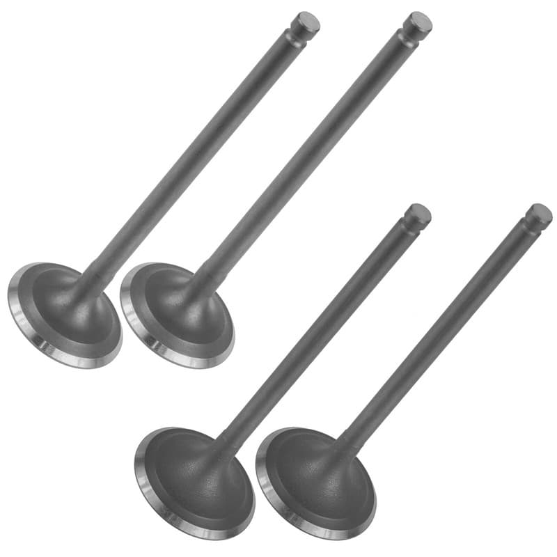 Intake & Exhaust Valve for Honda Foreman Rubicon 500 2001 2002 2003 2004-2014