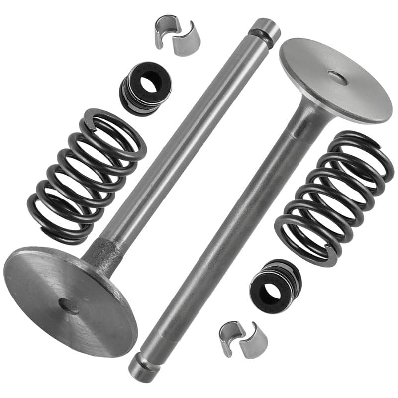 Intake & Exhaust Valve Kit For Kohler CH20-64664 CH20-64689 Command PRO Twin