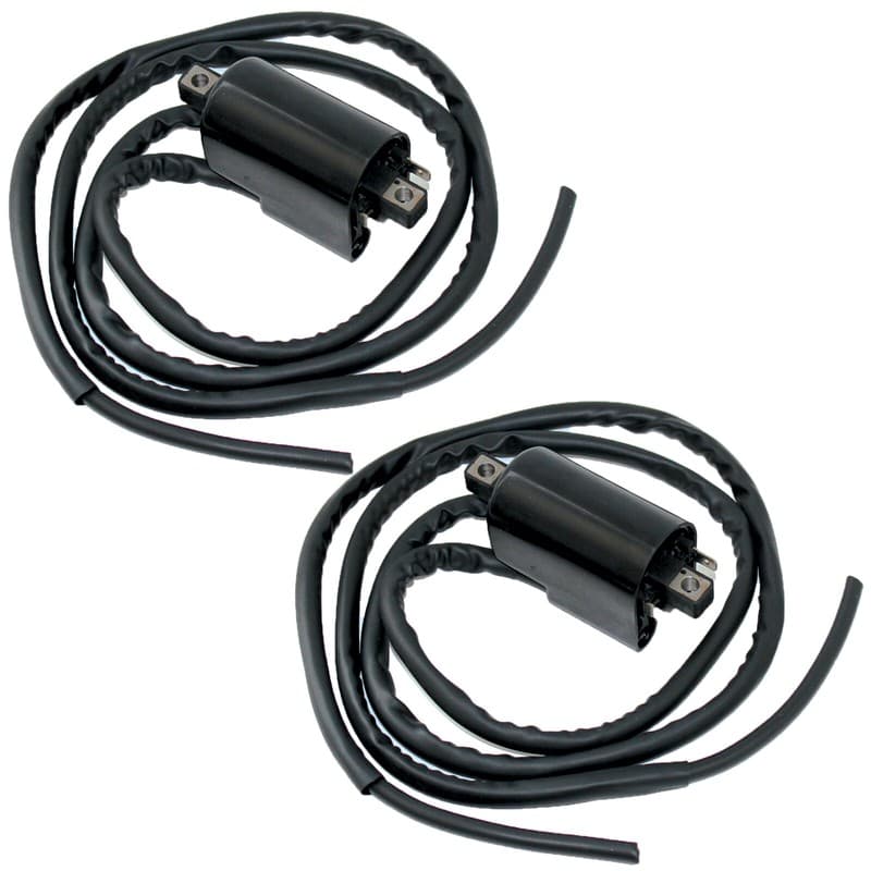 Set of 2 Ignition Coils for Suzuki Rf600R Rf 600R 1994 1995 1996 1997